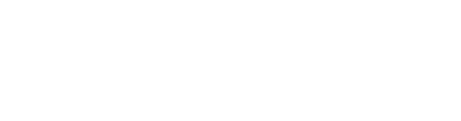neweb_logo